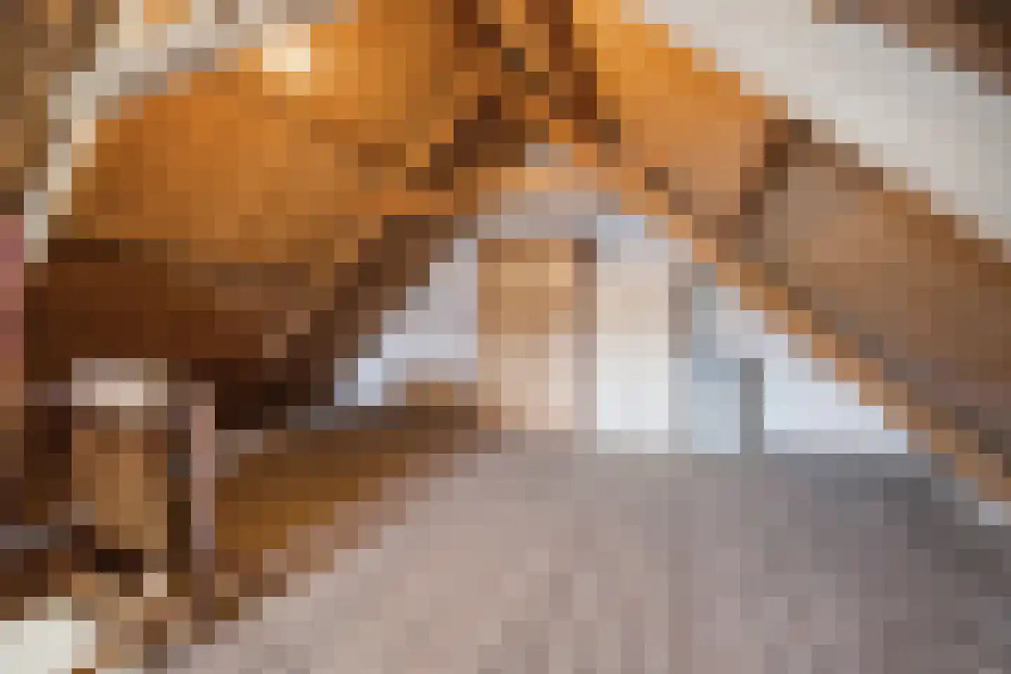 Van Brabantstraat 3 Steenbergen thumbnail 33