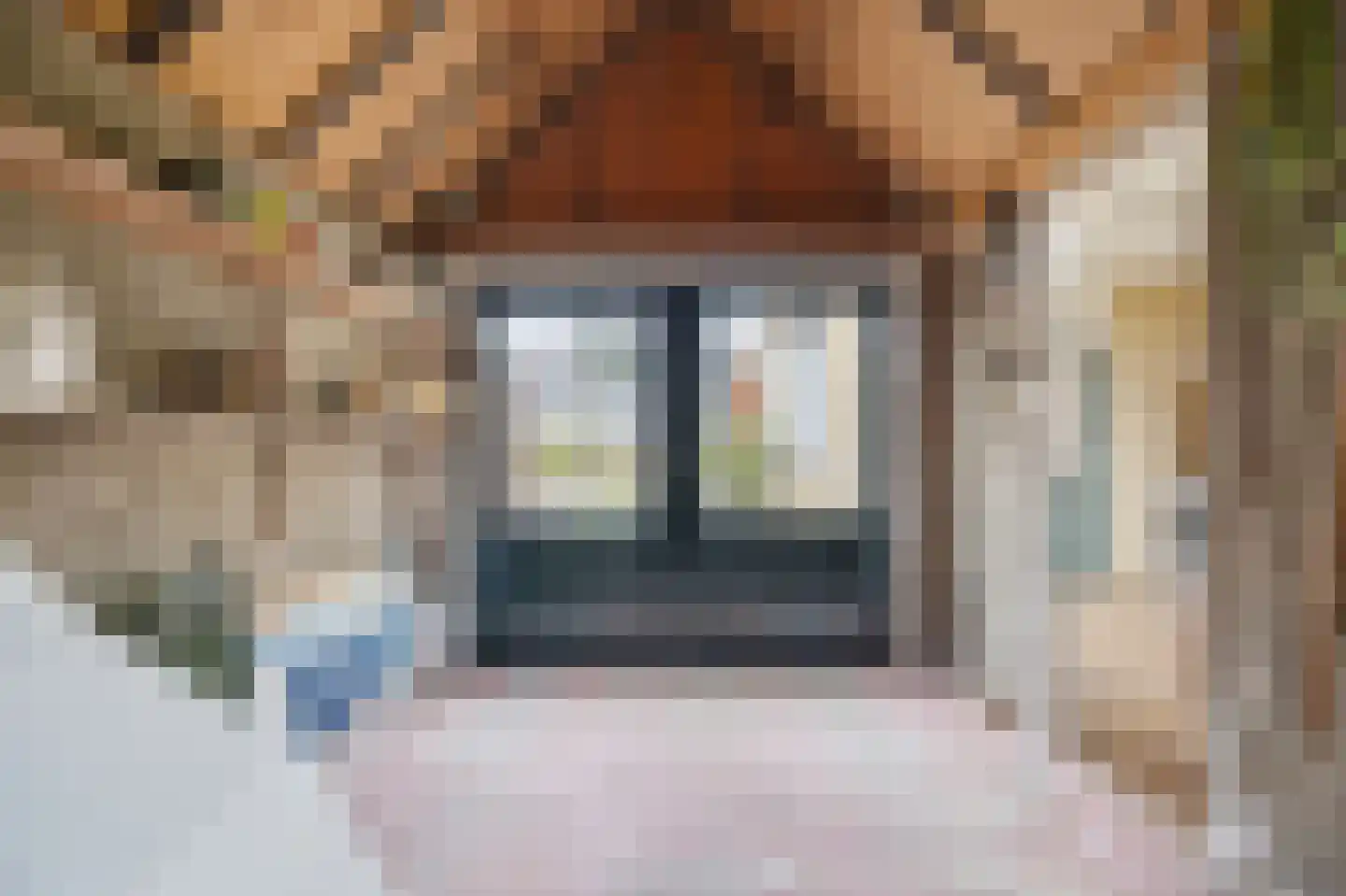 Van Brabantstraat 3 Steenbergen thumbnail 36