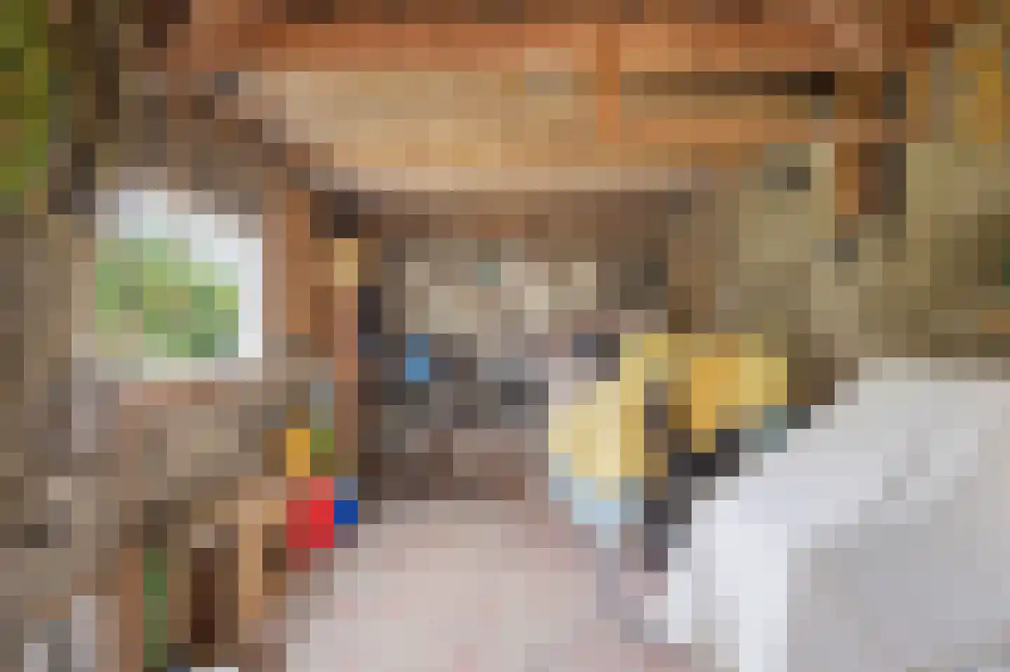 Van Brabantstraat 3 Steenbergen thumbnail 37