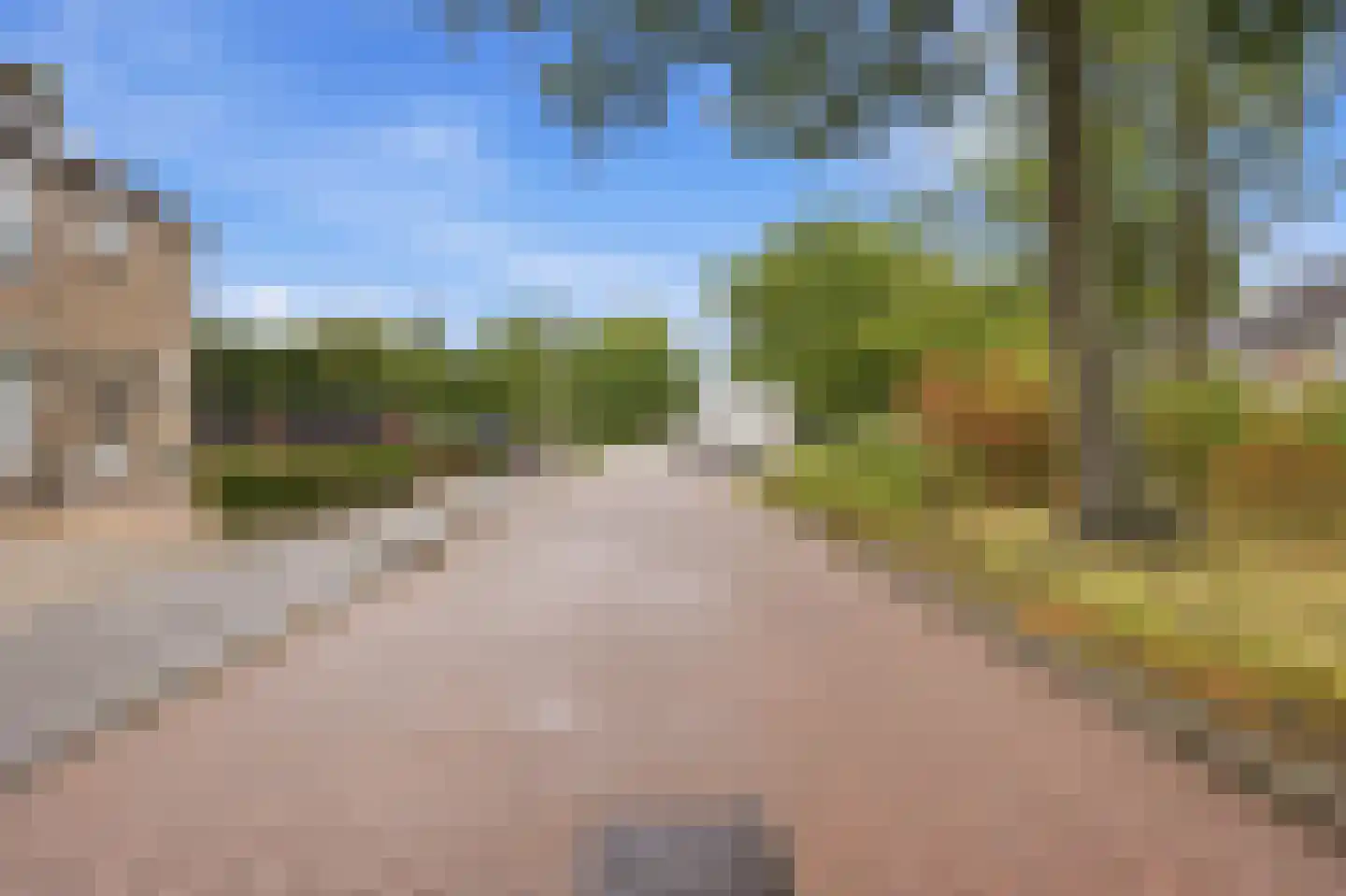 Van Brabantstraat 3 Steenbergen thumbnail 41