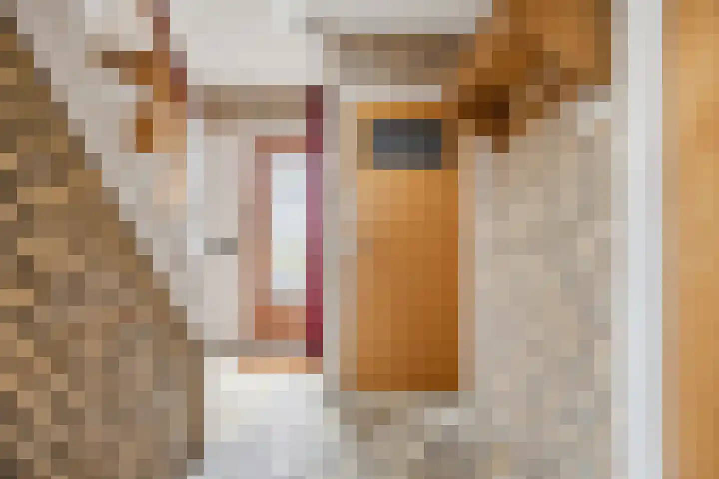 Van Brabantstraat 3 Steenbergen thumbnail 7