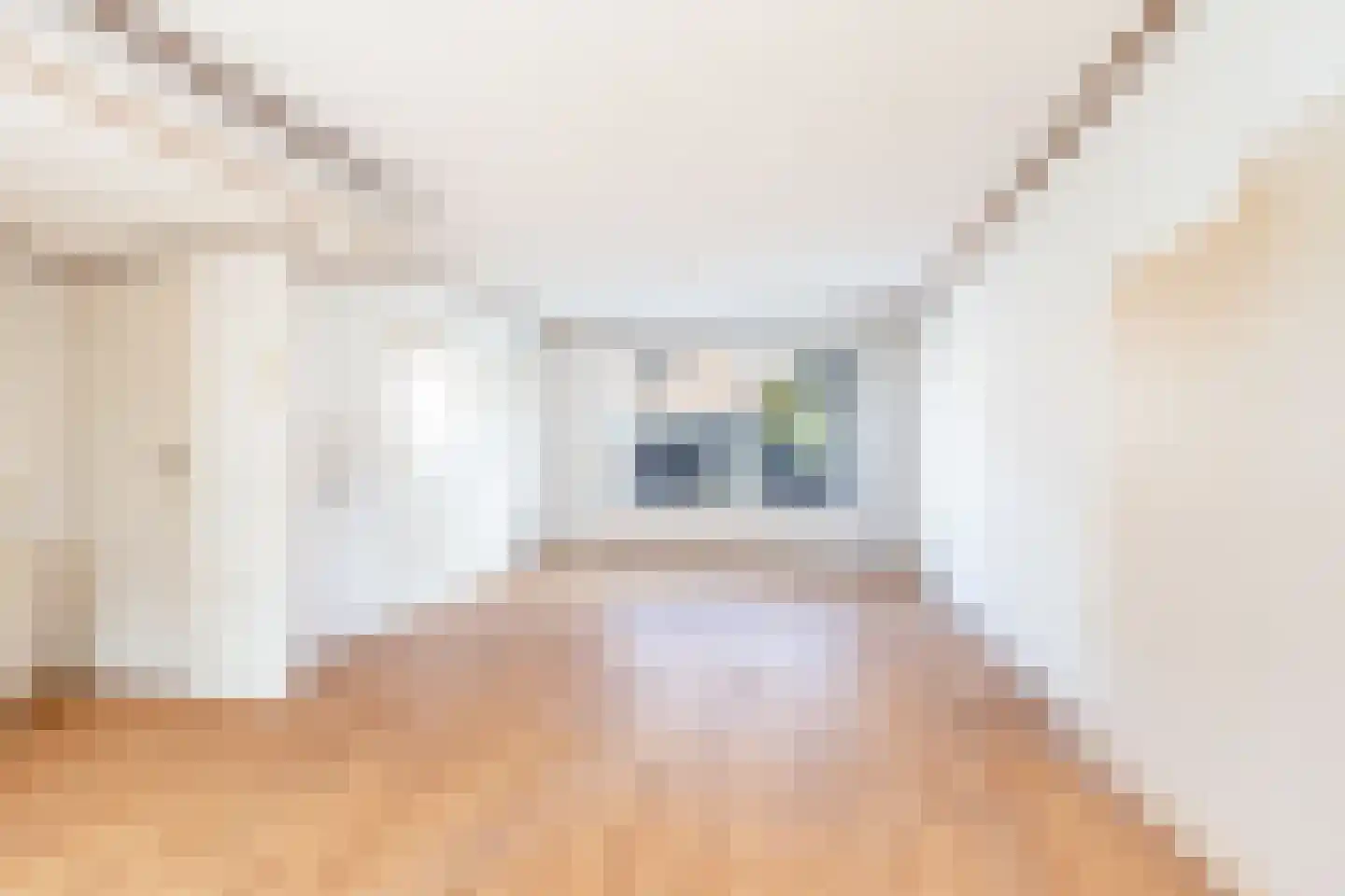 van Brachtstraat 11 Pijnacker thumbnail 14