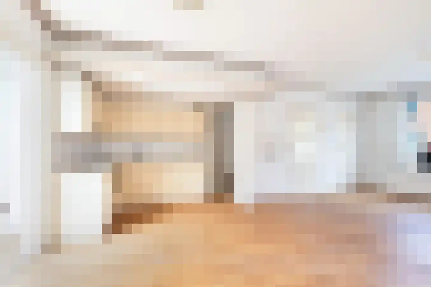van Brachtstraat 11 Pijnacker thumbnail 15