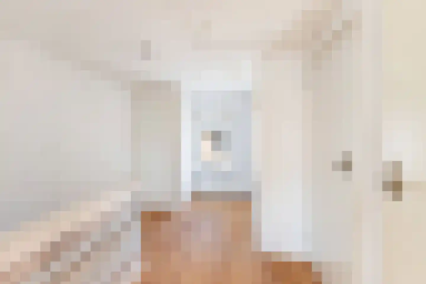van Brachtstraat 11 Pijnacker thumbnail 16