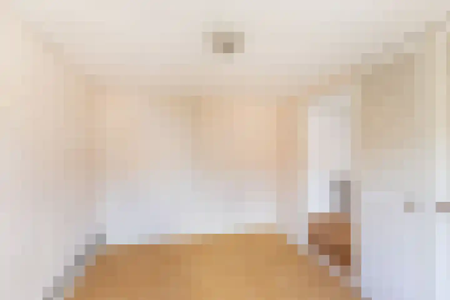 van Brachtstraat 11 Pijnacker thumbnail 22