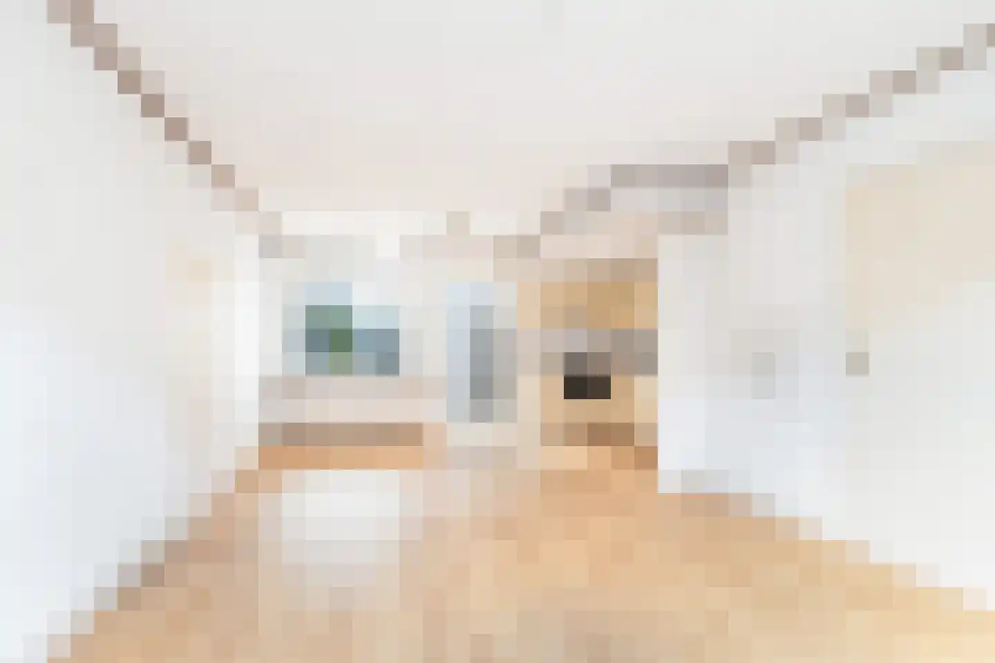 van Brachtstraat 11 Pijnacker thumbnail 6
