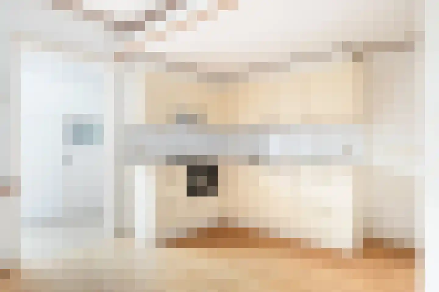 van Brachtstraat 11 Pijnacker thumbnail 7