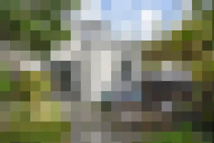van Brachtstraat 17 Pijnacker thumbnail 4