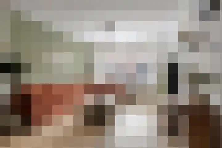 van Brachtstraat 20 Pijnacker thumbnail 10