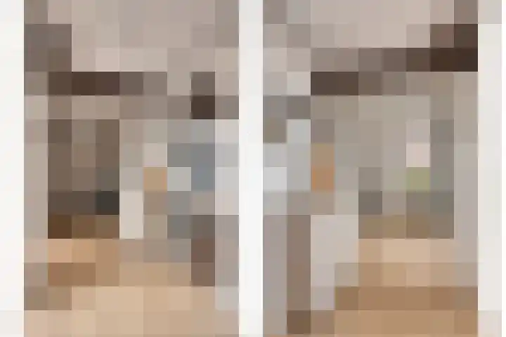 van Brachtstraat 20 Pijnacker thumbnail 20