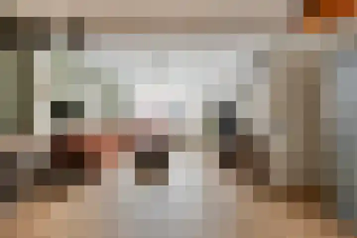 van Brachtstraat 20 Pijnacker thumbnail 4