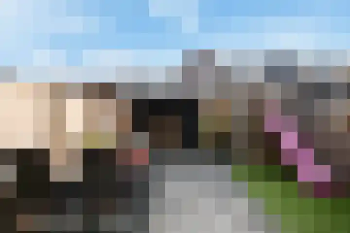 van Brachtstraat 23 Pijnacker thumbnail 10