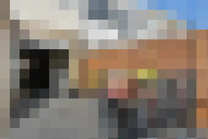 van Brachtstraat 23 Pijnacker thumbnail 11