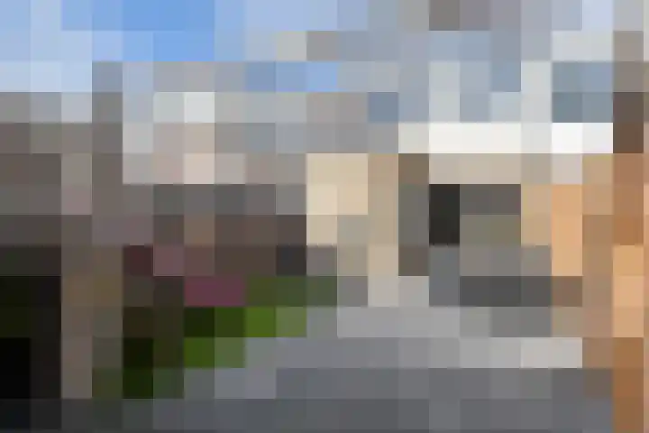 van Brachtstraat 23 Pijnacker thumbnail 4