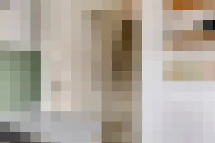 van Brachtstraat 27 Pijnacker thumbnail 21