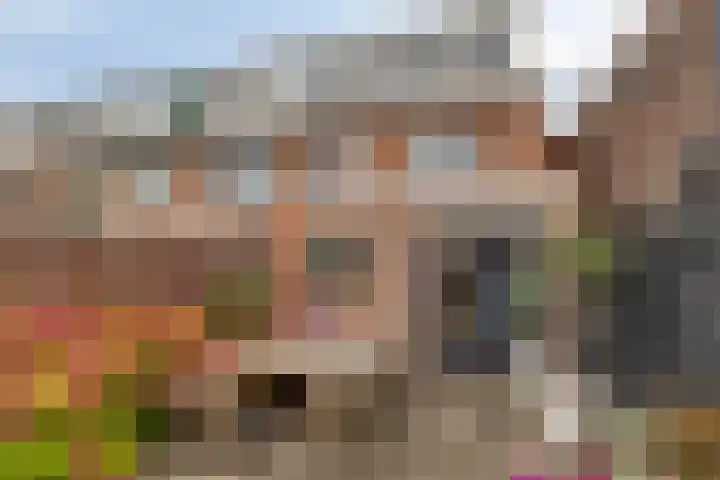 van Brachtstraat 27 Pijnacker thumbnail 5