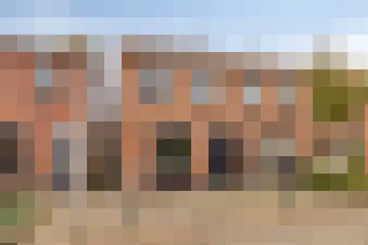 van Brachtstraat 27 Pijnacker thumbnail 8