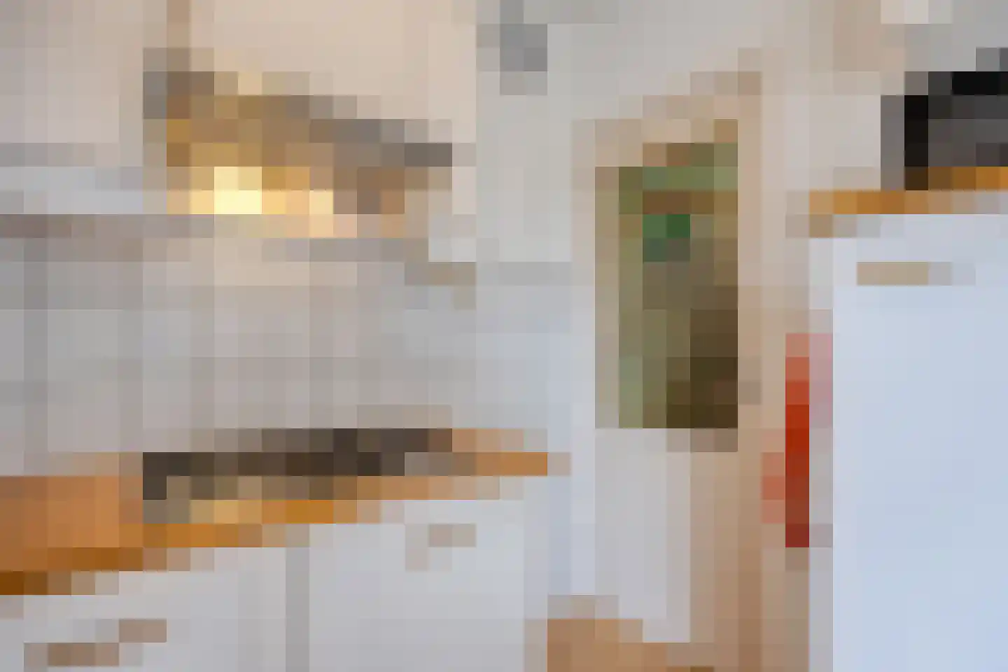 van Brachtstraat 31 Pijnacker thumbnail 11