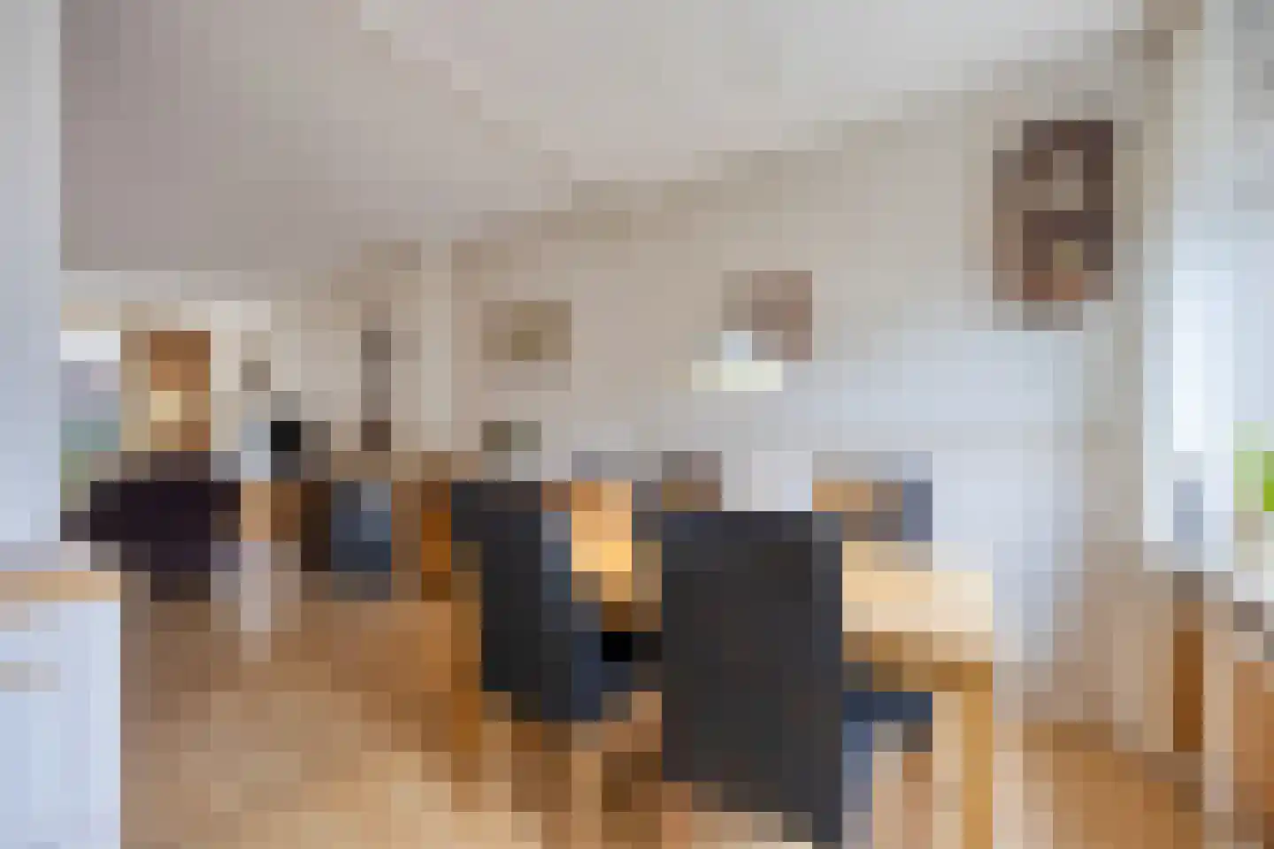 van Brachtstraat 31 Pijnacker thumbnail 12