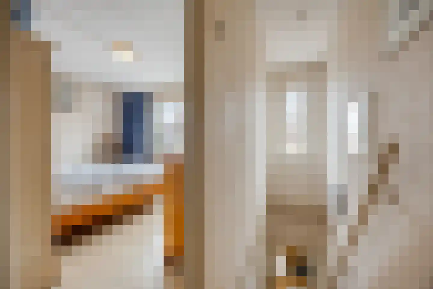 van Brachtstraat 31 Pijnacker thumbnail 14