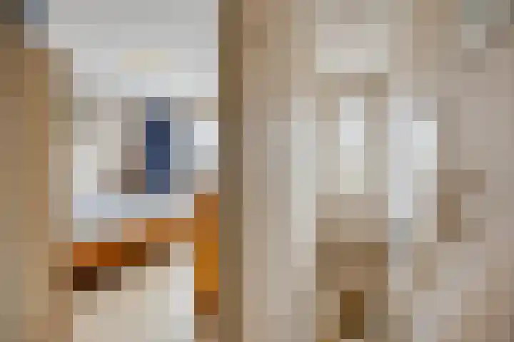 van Brachtstraat 31 Pijnacker thumbnail 14