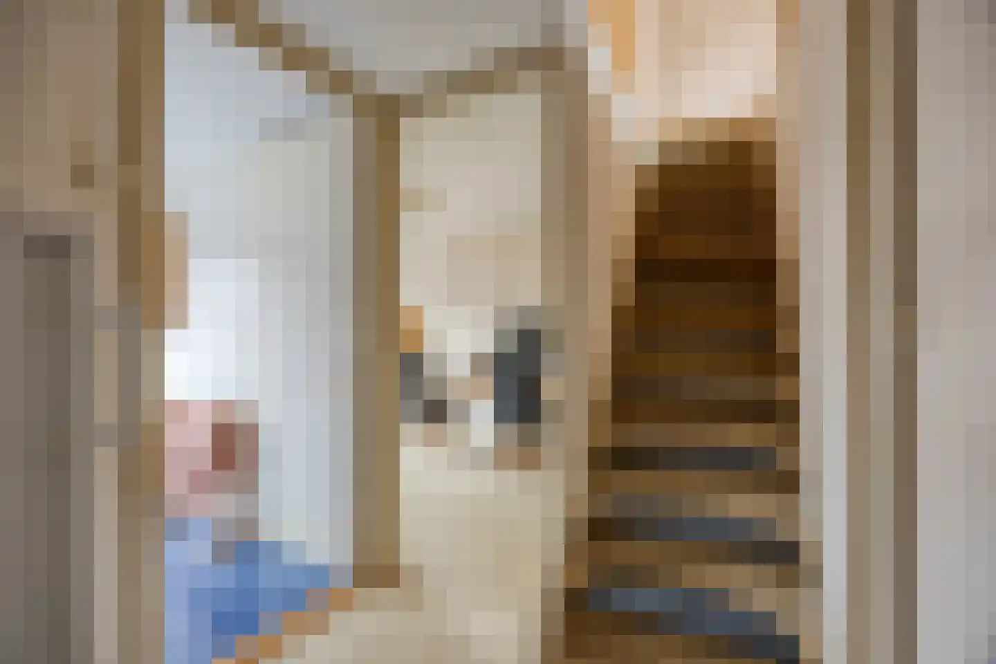 van Brachtstraat 31 Pijnacker thumbnail 15