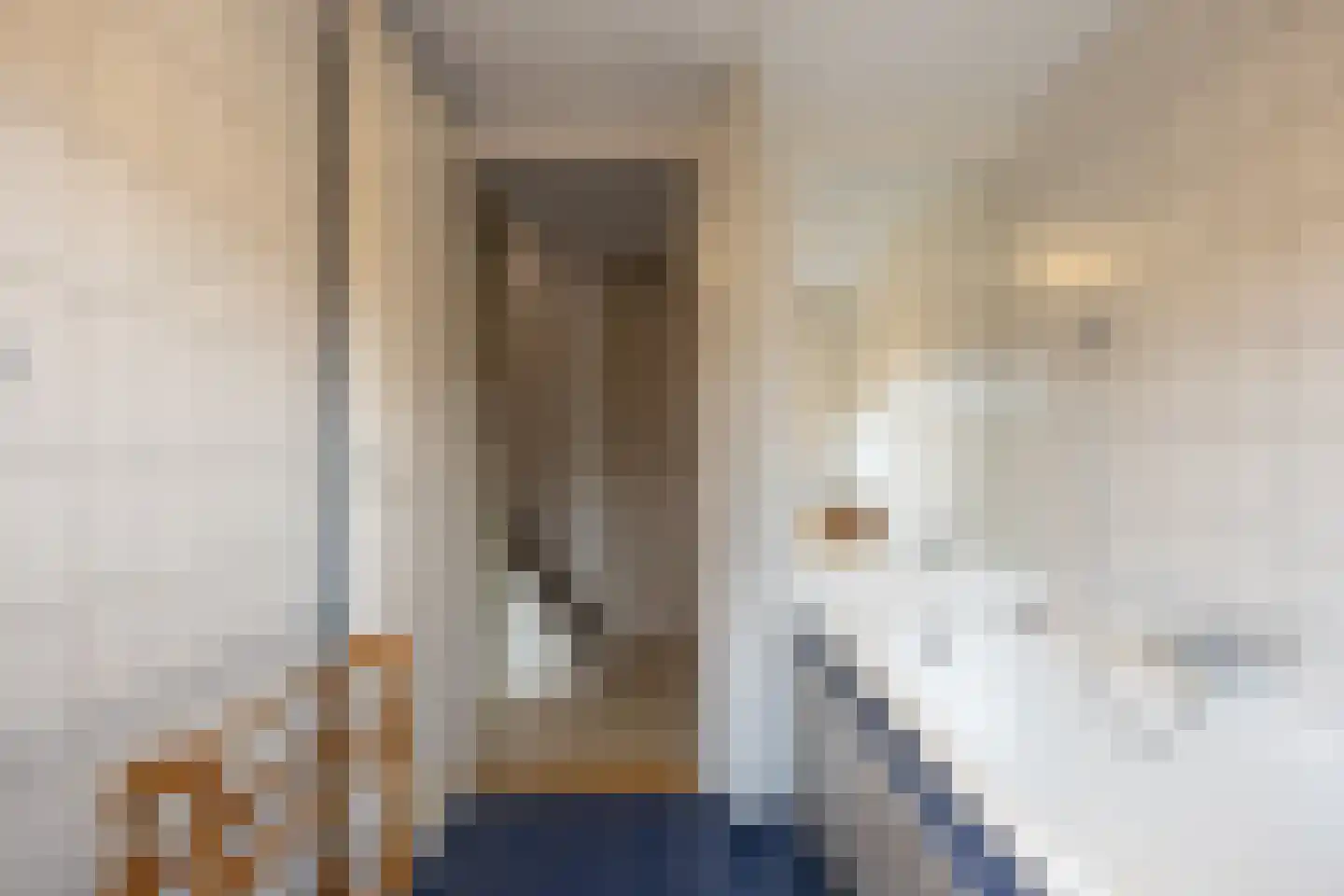 van Brachtstraat 31 Pijnacker thumbnail 19