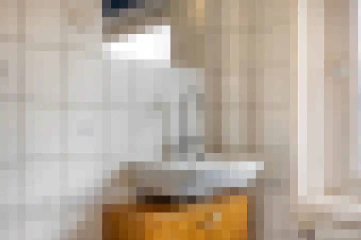 van Brachtstraat 31 Pijnacker thumbnail 20