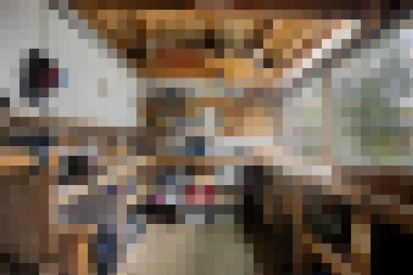 van Brachtstraat 31 Pijnacker thumbnail 26