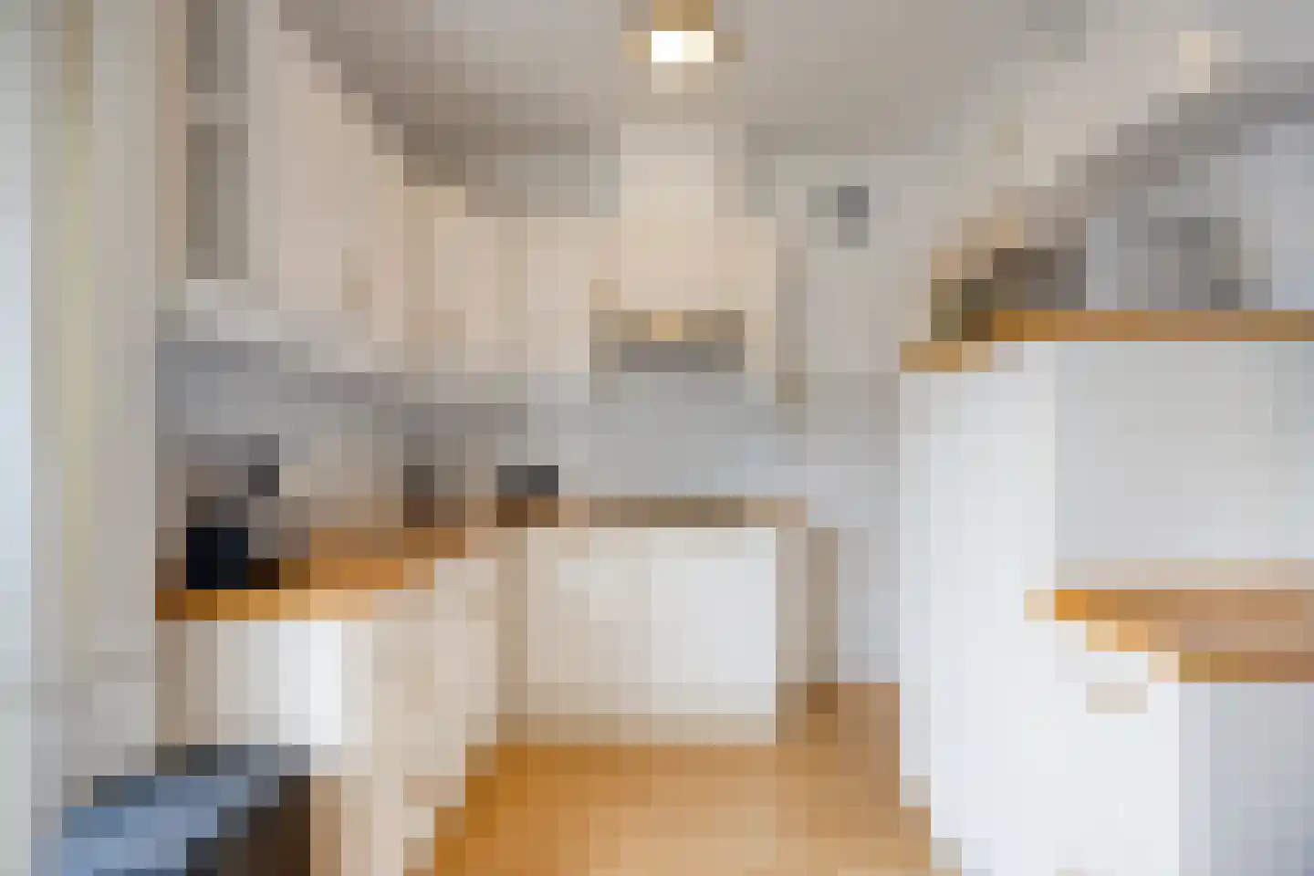 van Brachtstraat 31 Pijnacker thumbnail 4
