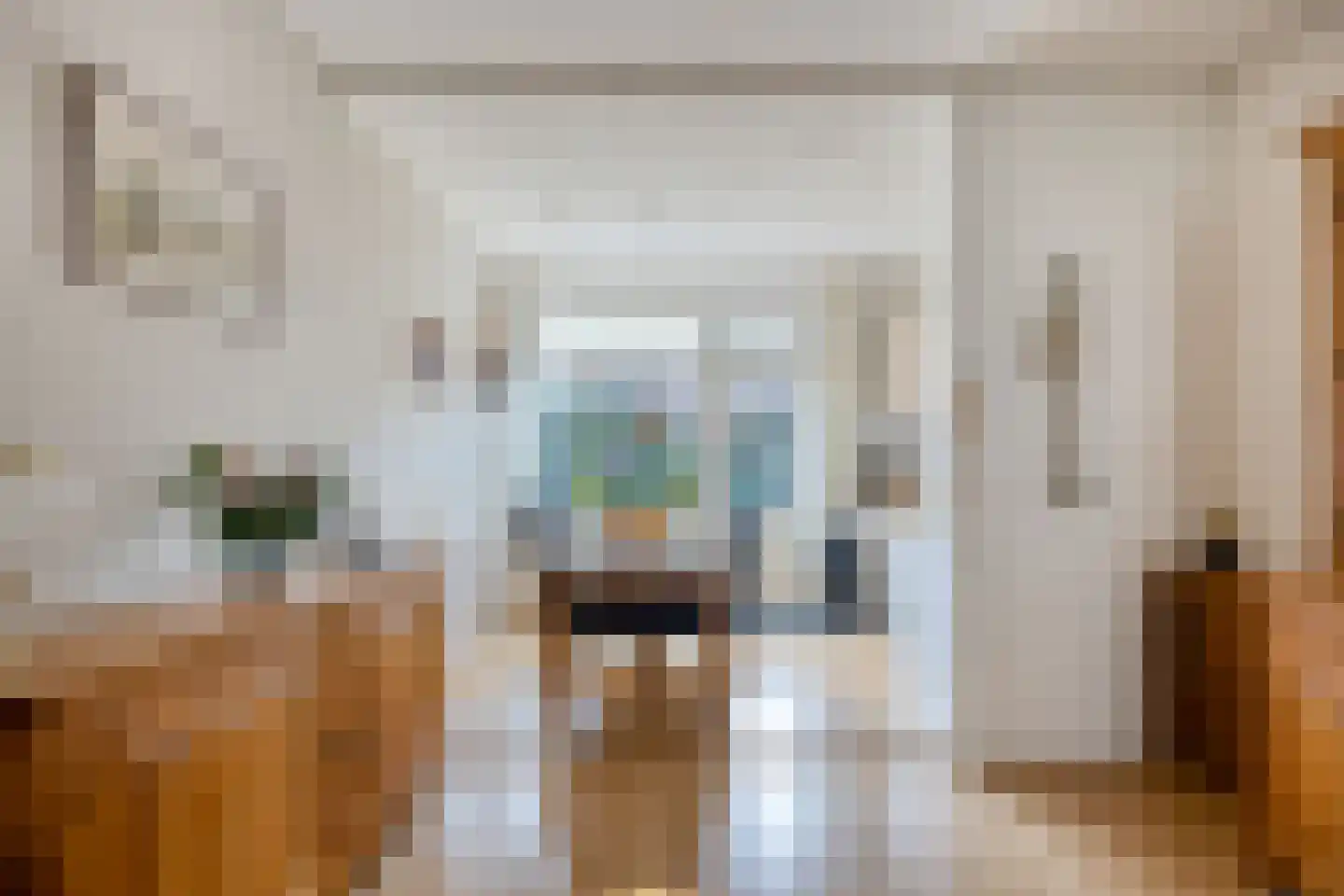 van Brachtstraat 31 Pijnacker thumbnail 9