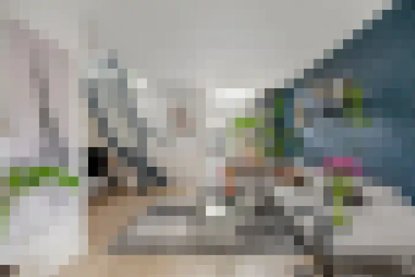 van Brachtstraat 33 Pijnacker thumbnail 11