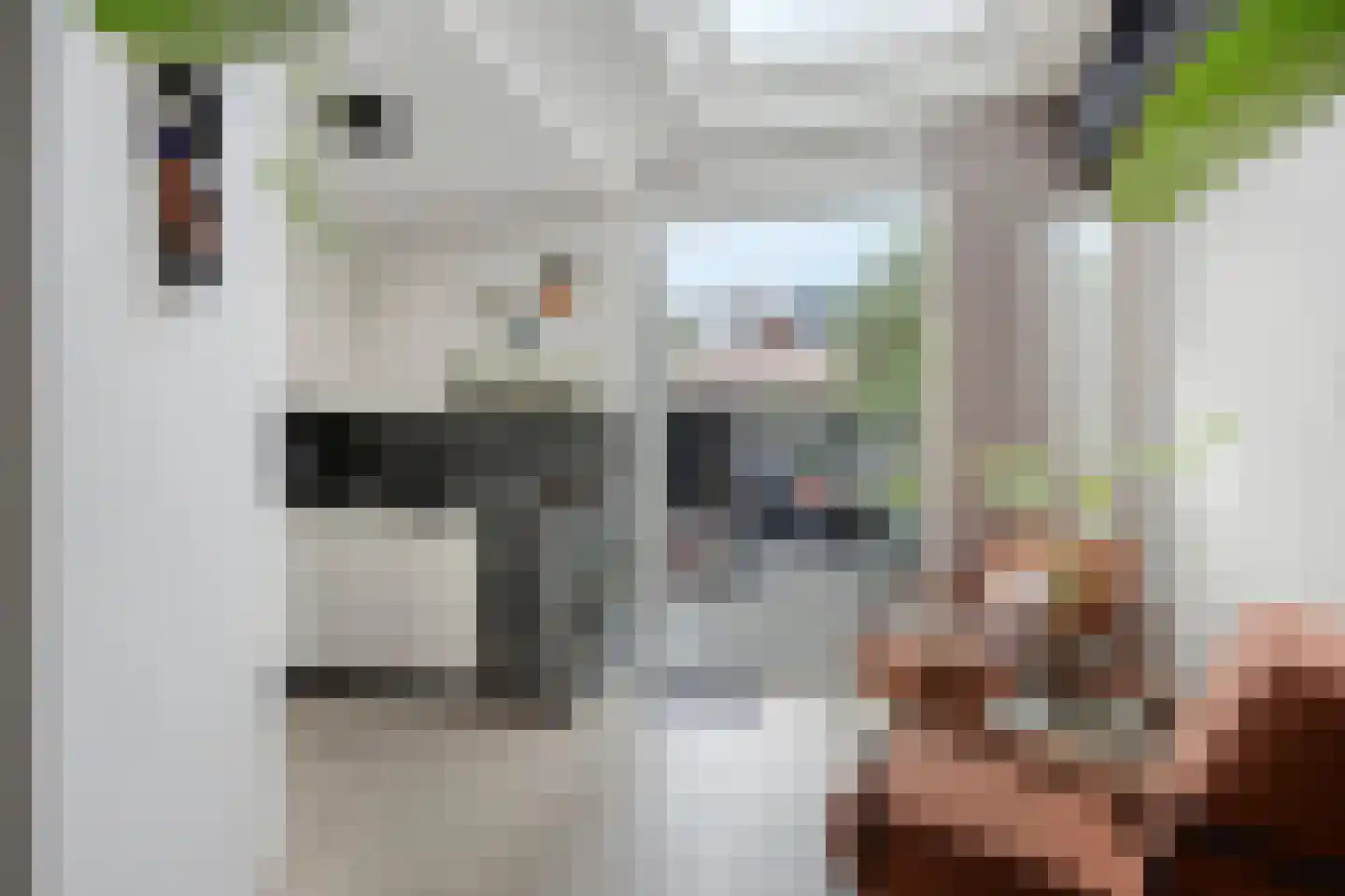 van Brachtstraat 33 Pijnacker thumbnail 21