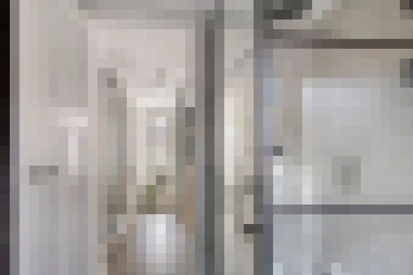 van Brachtstraat 33 Pijnacker thumbnail 30