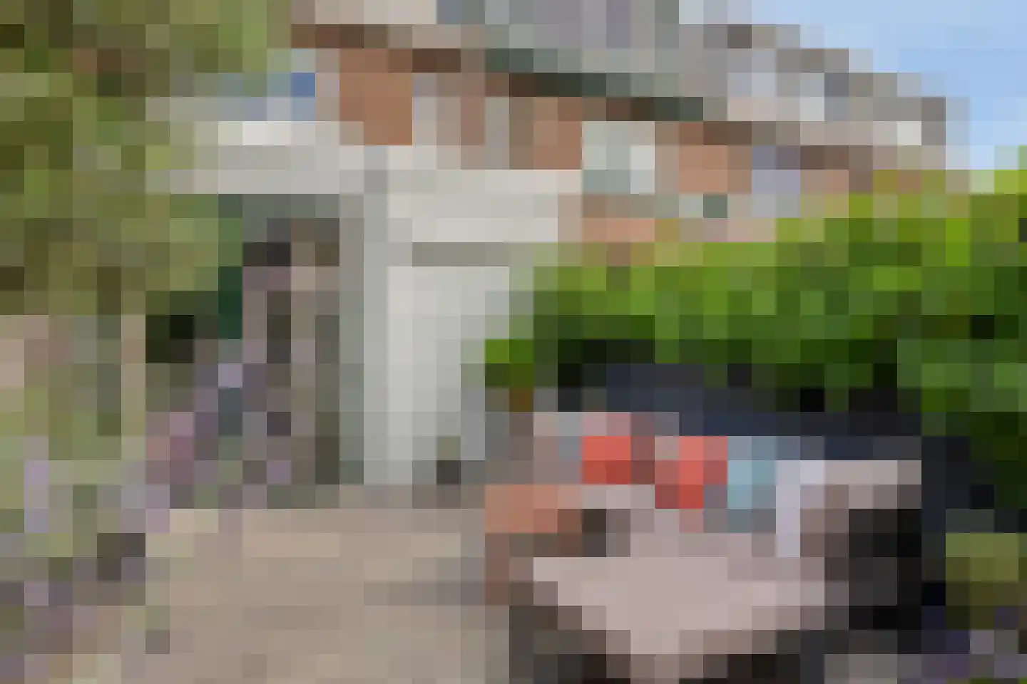 van Brachtstraat 33 Pijnacker thumbnail 42