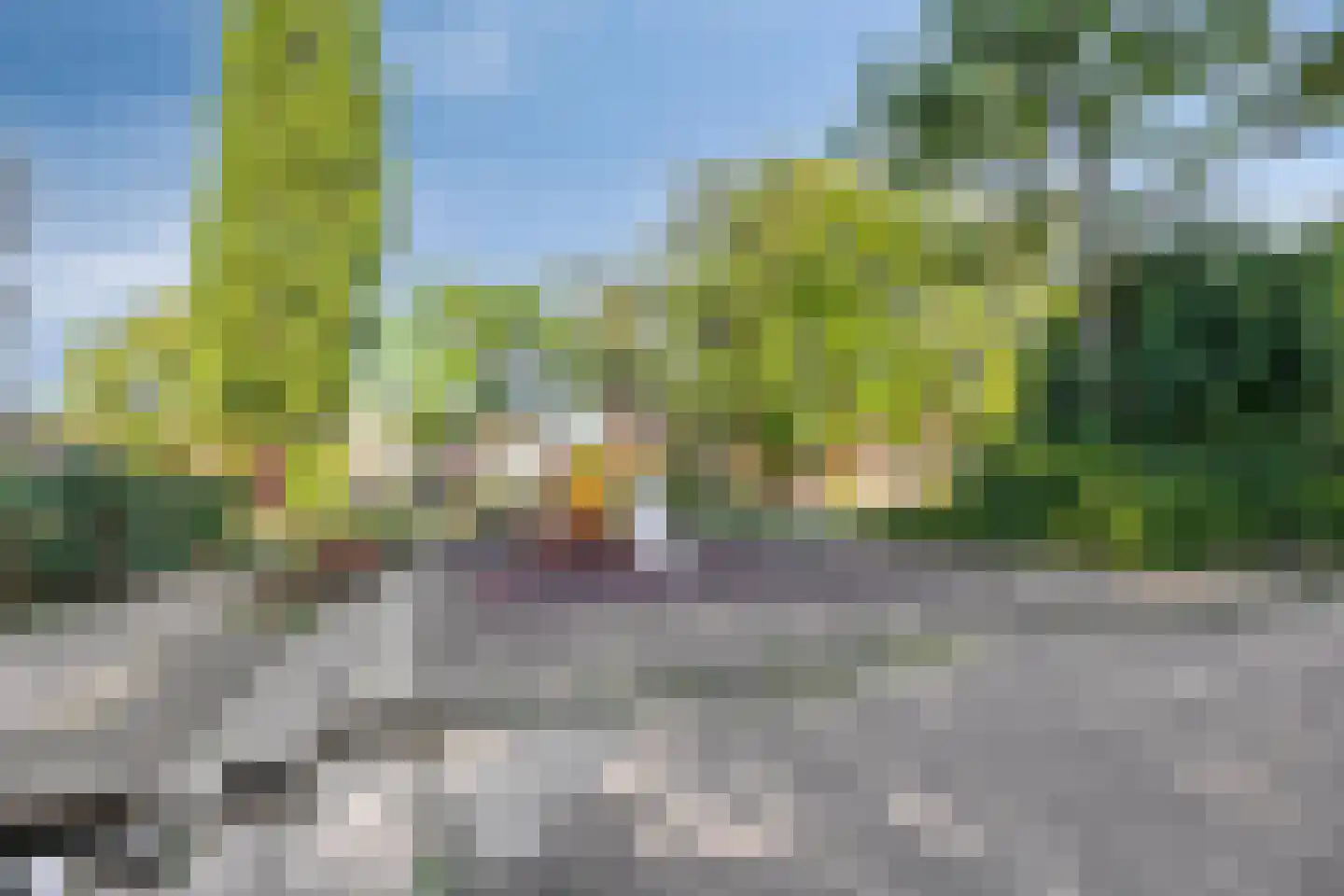 van Brachtstraat 33 Pijnacker thumbnail 56