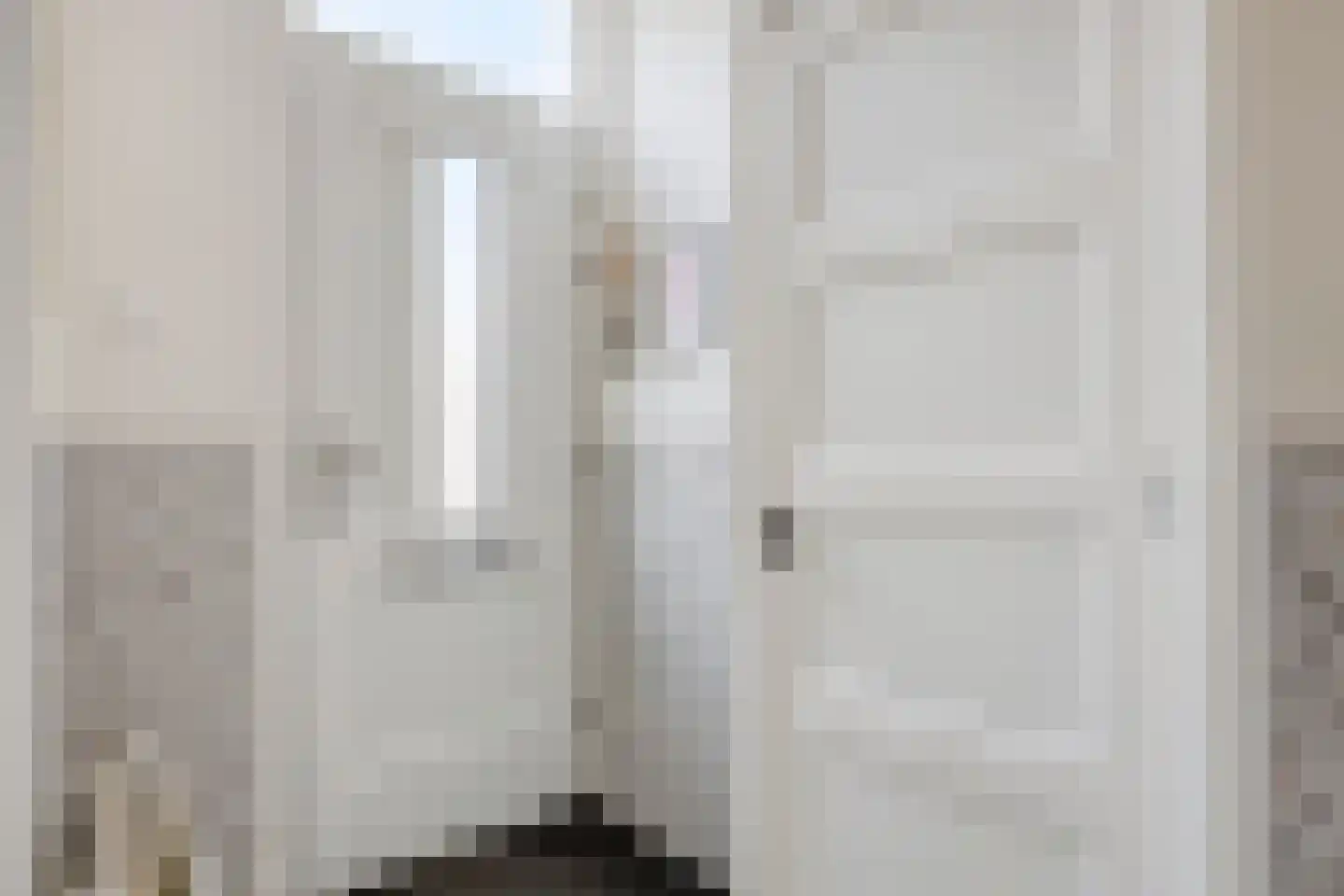van Brachtstraat 33 Pijnacker thumbnail 7