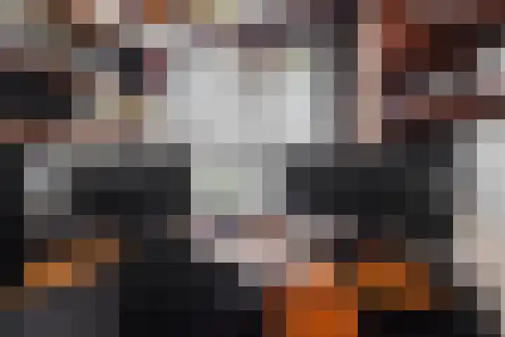 Van Brakellaan 117 Hilversum thumbnail 12