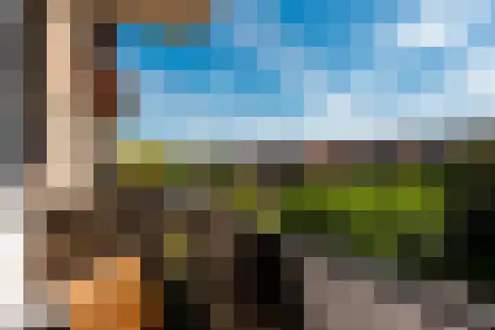 Van Brakellaan 117 Hilversum thumbnail 21