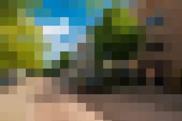 Van Brakellaan 117 Hilversum thumbnail 25