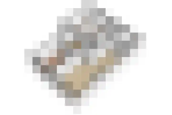 Van Brakellaan 117 Hilversum thumbnail 28