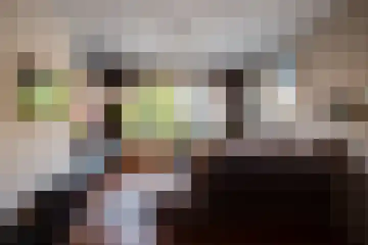 Van Brakellaan 117 Hilversum thumbnail 7