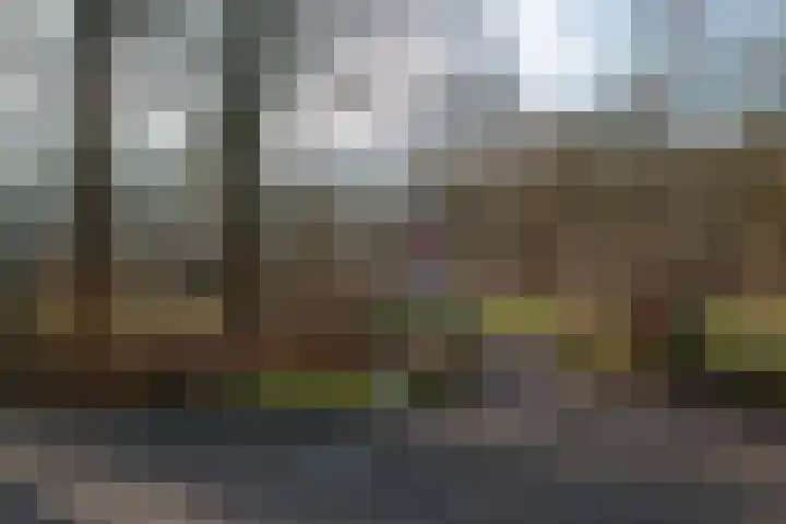 Van Brakellaan 135 Hilversum thumbnail 26