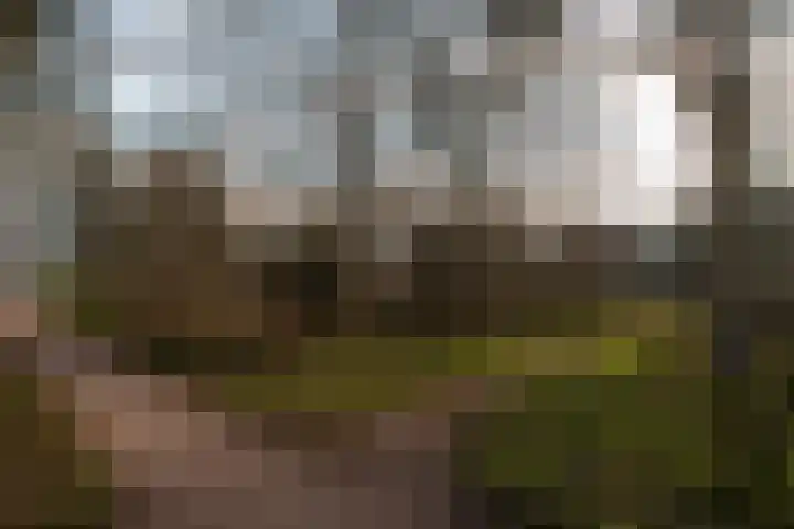Van Brakellaan 135 Hilversum thumbnail 27