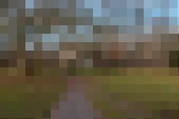 Van Brakellaan 135 Hilversum thumbnail 28
