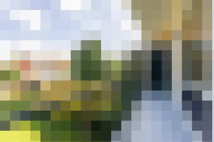 Van Brakellaan 21 Hilversum thumbnail 11