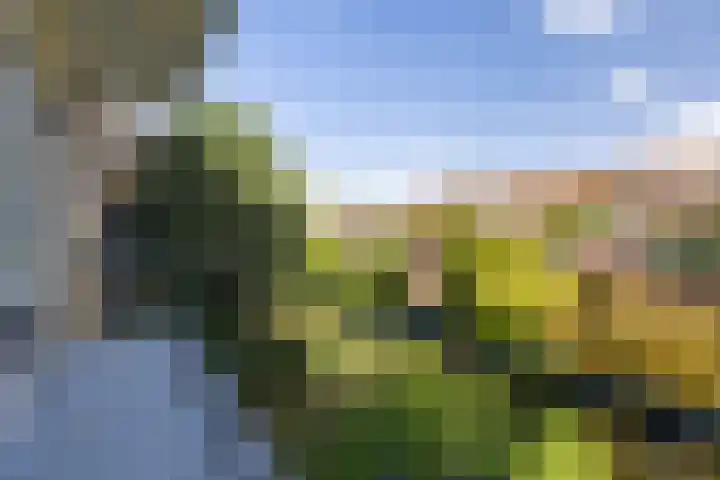 Van Brakellaan 21 Hilversum thumbnail 12