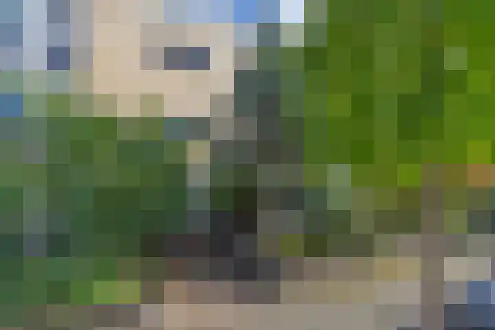 Van Brakellaan 21 Hilversum thumbnail 22