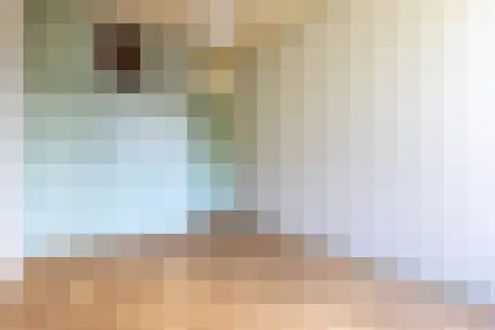 Van Brakellaan 21 Hilversum thumbnail 8