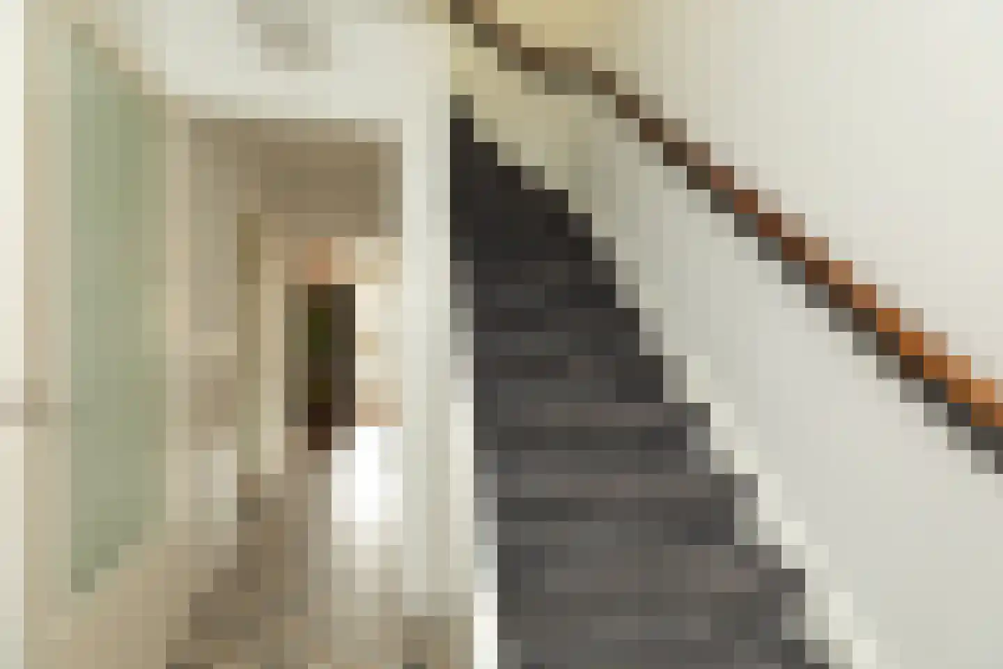 Van Brakellaan 22 Hilversum thumbnail 15
